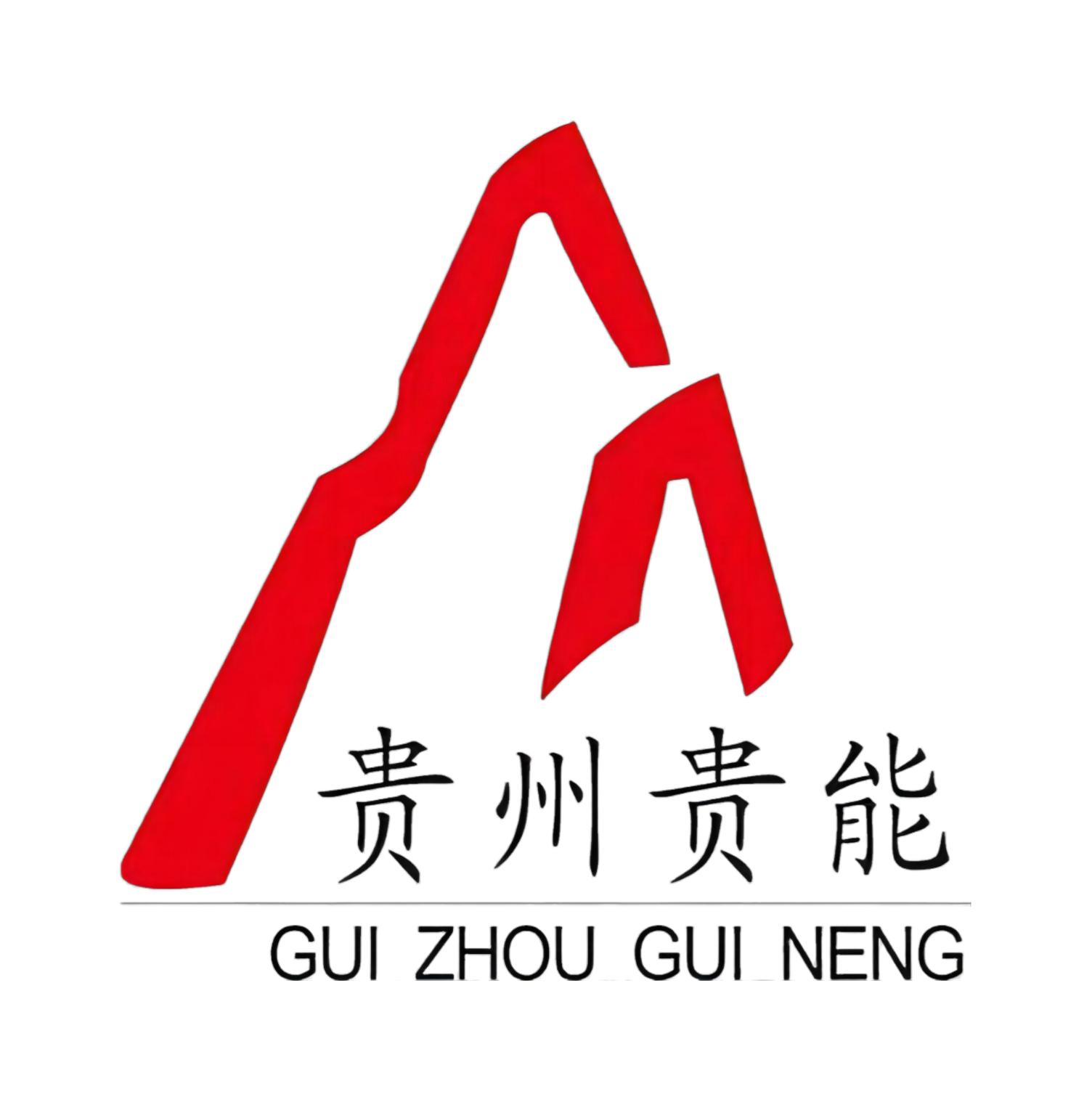 atG4BNJGhrpEYin$$贵州贵能